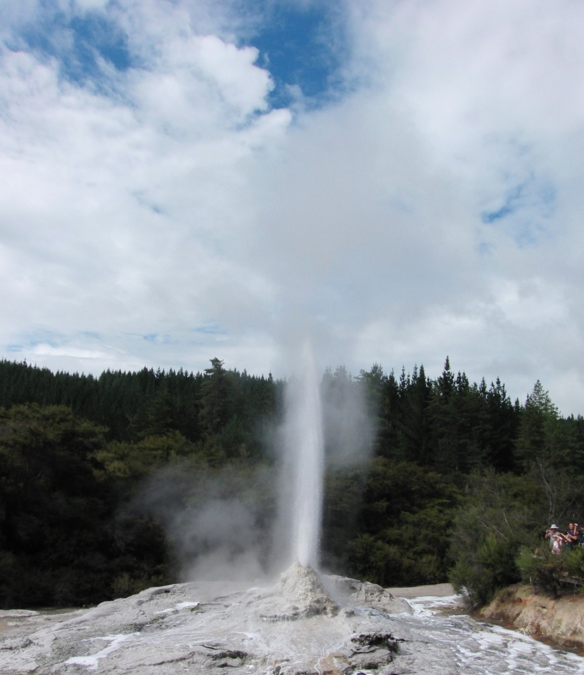 Lady Knox Geyser